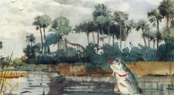  Black Oil Painting - Black Bass Florida Realism painter Winslow Homer